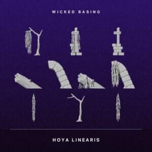 Album cover: gray stone sculptures and arches on a dark starry background; 'Wicked Basing' at the top and 'Hoya Linearis' at the bottom.