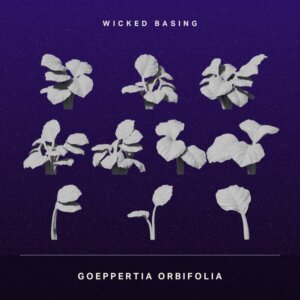 Album cover featuring grayscale Goeppertia orbifolia leaves arranged on a dark purple starry background with 'WICKED BASING' centered top and 'GOEPPERTIA ORBIFOLIA' bottom.
