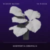 Album cover with a white-leaf plant silhouetted against a dark purple starry background; text shows 'Wicked Basing' and '10 Pieces' at top, 'Goeppertia Orbifolia' at bottom.
