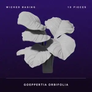 Album cover with a white-leaf plant silhouetted against a dark purple starry background; text shows 'Wicked Basing' and '10 Pieces' at top, 'Goeppertia Orbifolia' at bottom.