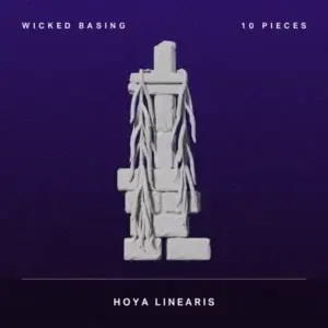 Album cover: white stacked brick sculpture wrapped in vines on a deep purple starry background; top text 'WICKED BASING' and '10 PIECES', bottom 'HOYA LINEARIS'.
