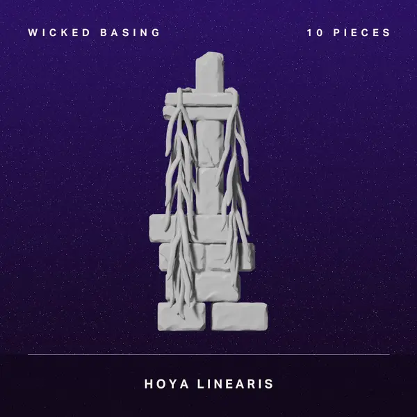 Wicked Basingproduct2 Wicked Dicey Album Cover White Stacked Brick Sculpture Wrapped in Vines on a Deep Purple Starry Background Top Text wicked Basing and 10 Pieces Bottom hoya Linearis