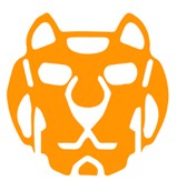 Orangelion Logo2 Wicked Dicey Stylized Orange Lion Head Logo on White Background Bold and Geometric